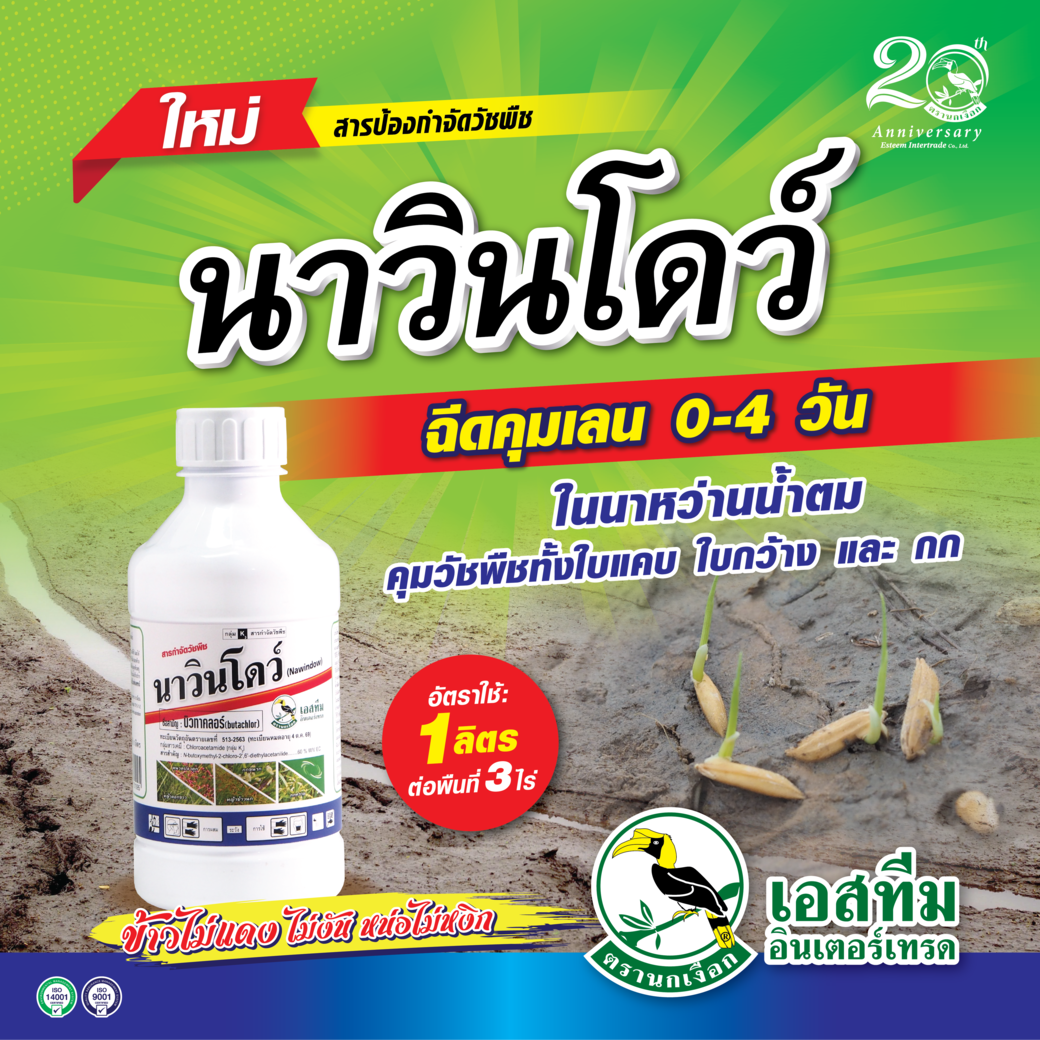 พ่นคุมเลนในนาข้าว (อายุข้าว 0-4 วัน) นาวินโดว์