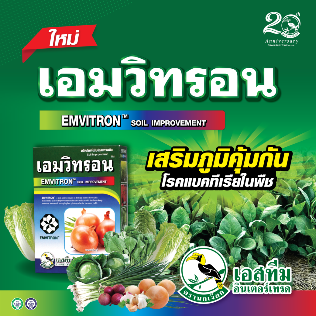 เอมวิทรอน เสริมภูมิคุ้มกันในโรคแบคทีเรีย เอมวิทรอน เสริมภูมิคุ้มกันในโรคแบคทีเรีย