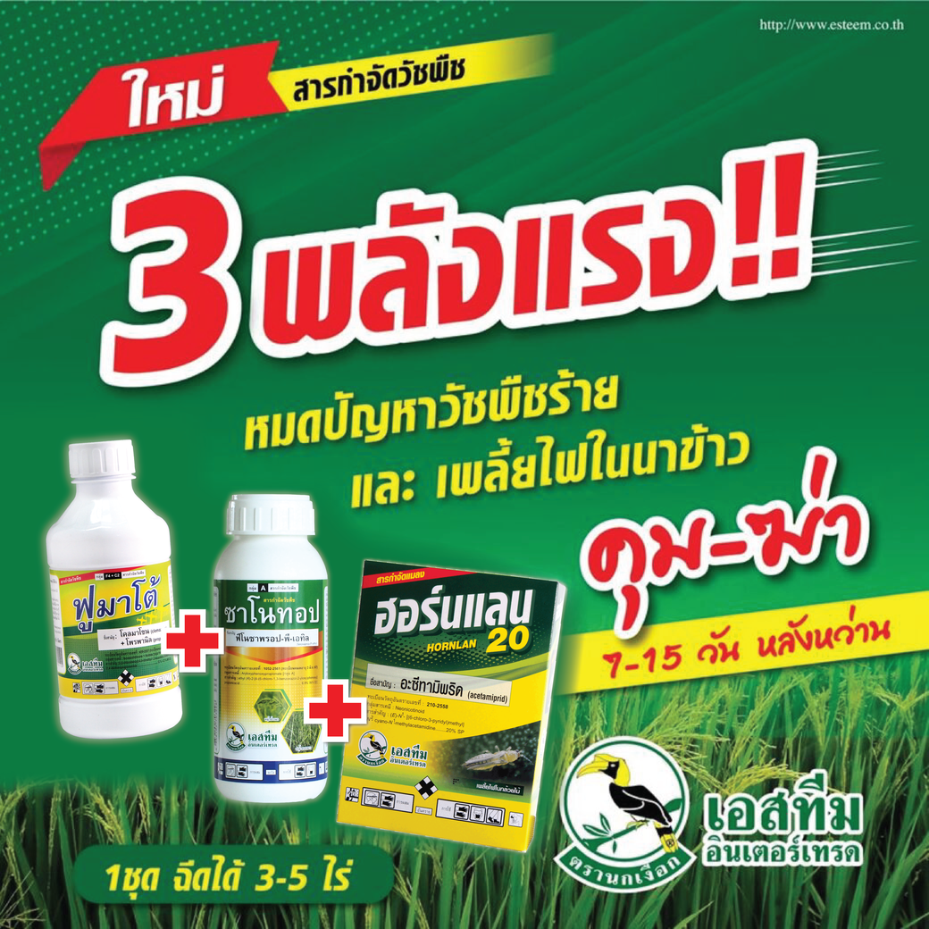 3 พลังแรงปราบหญ้าร้ายและเพลี้ยไฟในนาข้าว ฟูมาโต้ + ซาโนทอป + ฮอร์นแลน 20