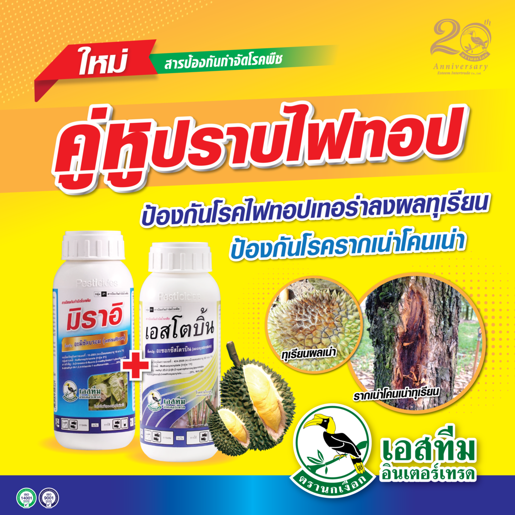 คู่หูปราบไฟทอป มิราอิ+เอสโตบิ้น คู่หูปราบไฟทอป มิราอิ+เอสโตบิ้น