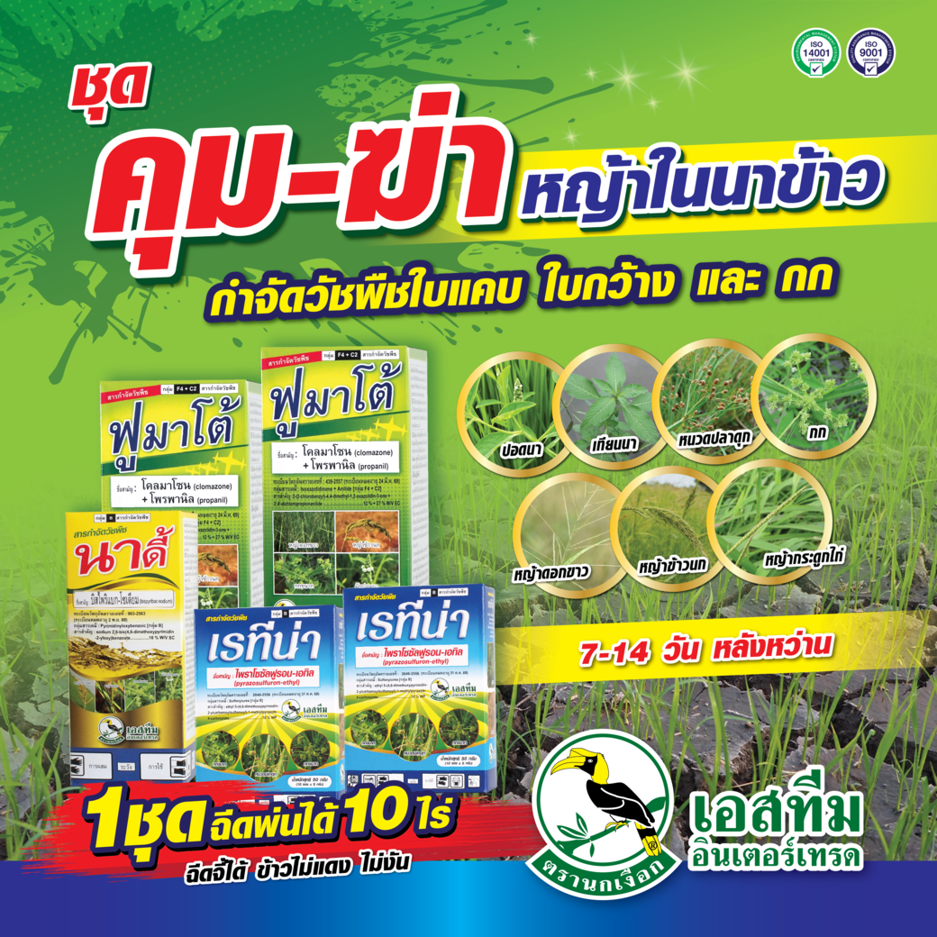 ชุดคุม-ฆ่าหญ้าในนาข้าว 7-14 วันหลังหว่าน ชุดคุม-ฆ่าหญ้าในนาข้าว 7-14 วันหลังหว่าน