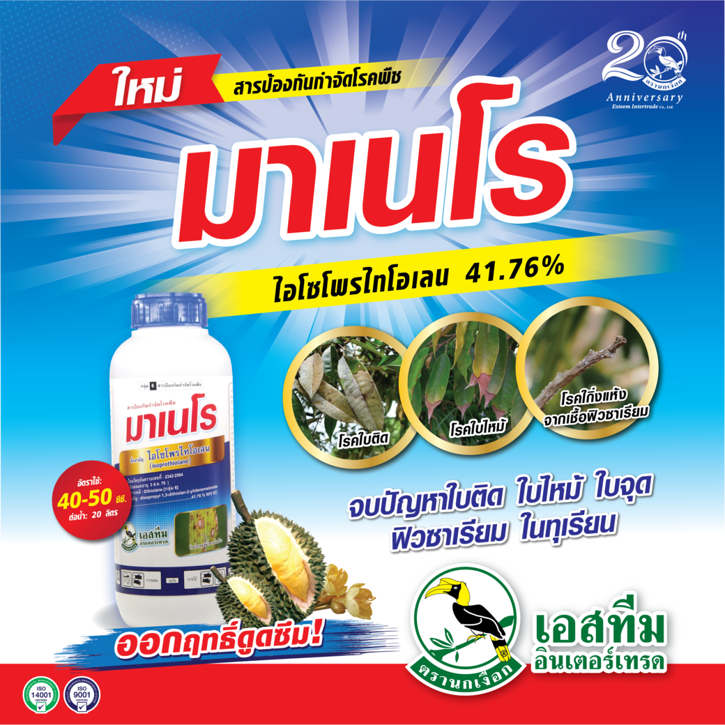 มาเนโร ฤทธิ์แรง ปราบเชื้อราในทุเรียน มาเนโร ฤทธิ์แรง ปราบเชื้อราในทุเรียน