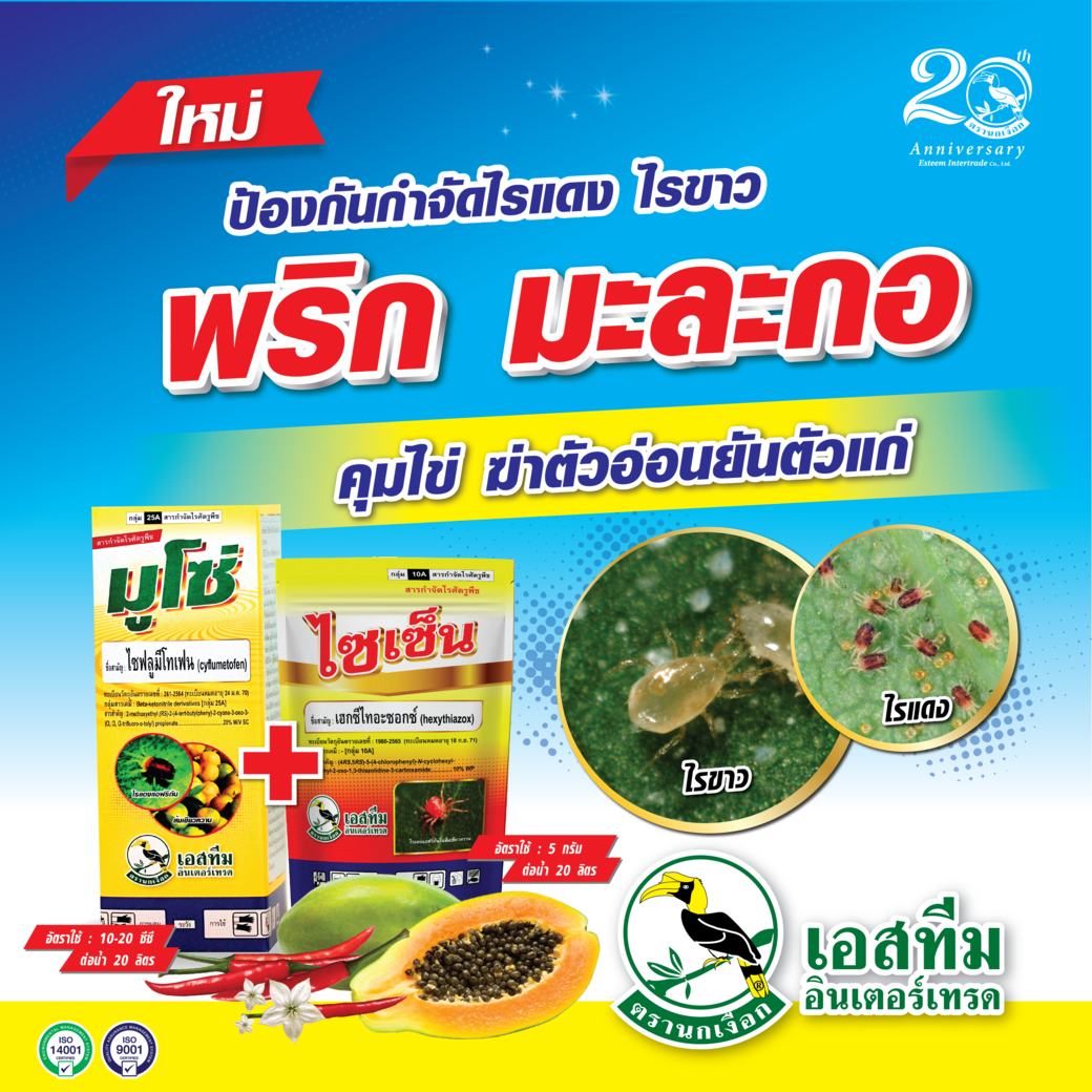ป้องกันกำจัดไรแดง ไรขาว คุมไข่ ฆ่าตัวอ่อนยันตัวแก่ ไซเซ็น + มูโซ่ ป้องกันกำจัดไรแดง ไรขาว คุมไข่ ฆ่าตัวอ่อนยันตัวแก่ ไซเซ็น + มูโซ่