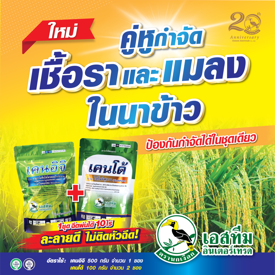 คู่หูกำจัดเชื้อราและแมลงในนาข้าว เคนอิจิ + เคนโด้ คู่หูกำจัดเชื้อราและแมลงในนาข้าว เคนอิจิ + เคนโด้
