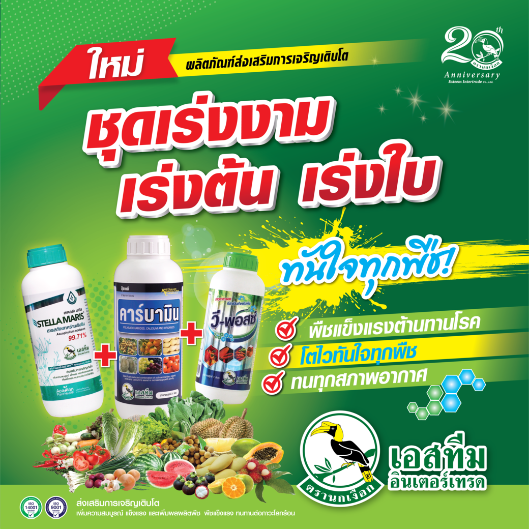ชุดเร่งงาม เร่งต้น เร่งใบ ทันใจในทุกพืช ชุดเร่งงาม เร่งต้น เร่งใบ ทันใจในทุกพืช