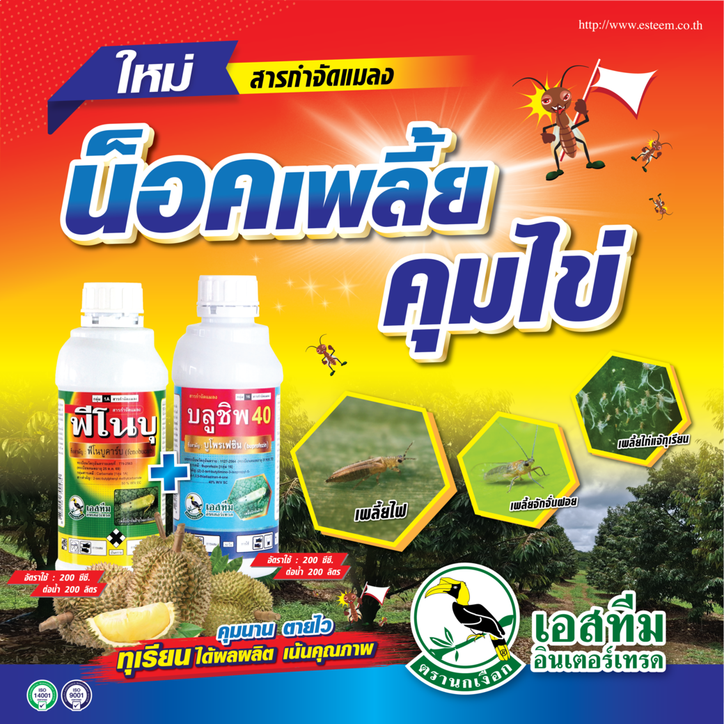 น็อคเพลี้ย คุมไข่ในทุเรียน ใช้ บลูชิพ 40+ฟีโนบุ น็อคเพลี้ย คุมไข่ในทุเรียน ใช้ บลูชิพ 40+ฟีโนบุ