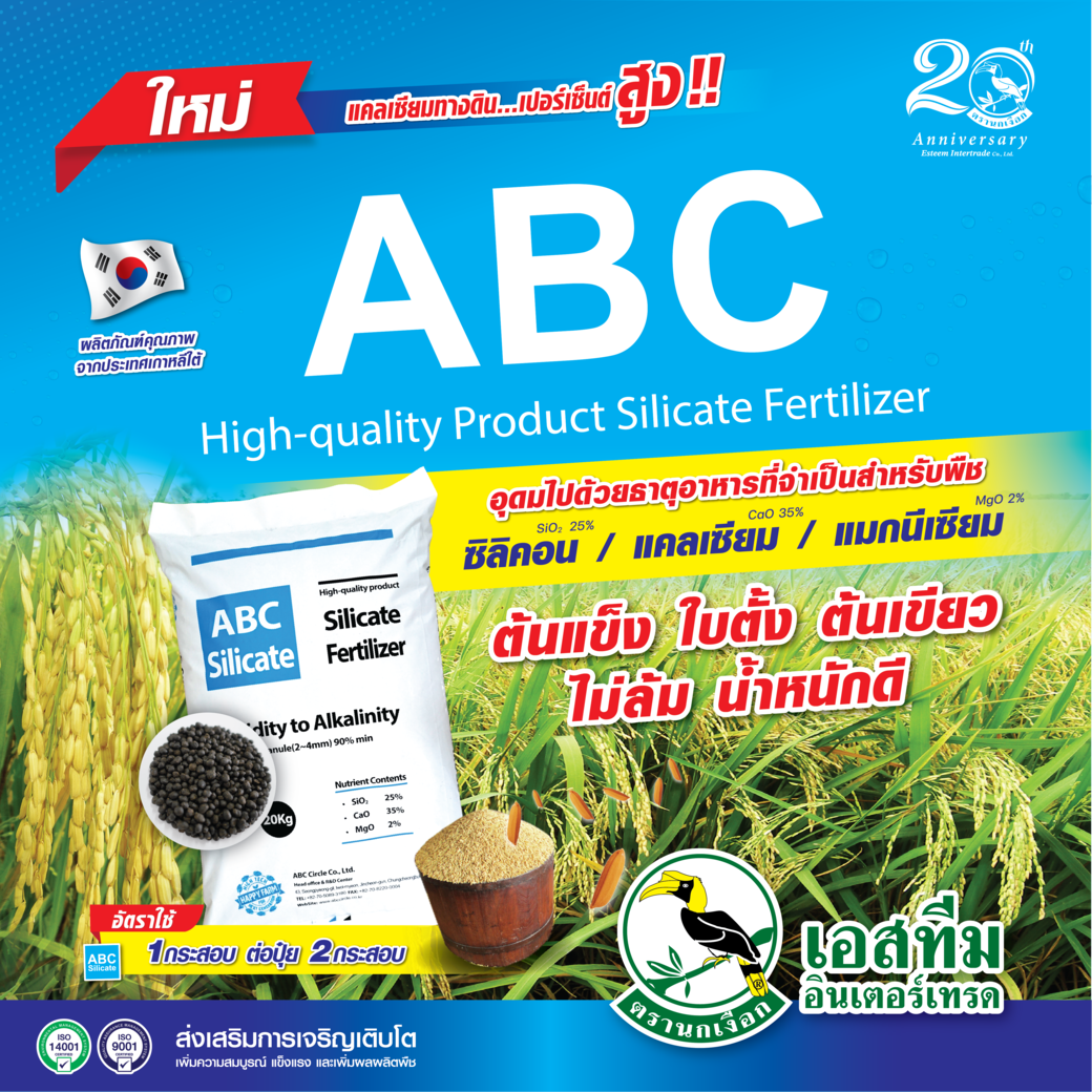 เอบีซี บำรุงข้าว ต้นเกร่ง ใบข้าวแข็งตั้ง เอบีซี บำรุงข้าว ต้นเกร่ง ใบข้าวแข็งตั้ง