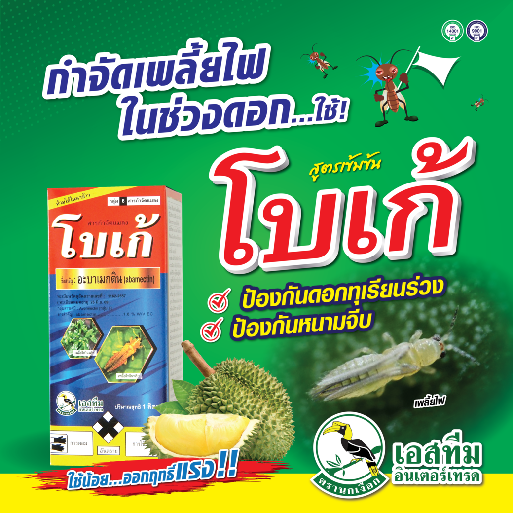 กำจัดเพลี้ยไฟในช่วงดอกลงทุเรียน ใช้ โบเก้