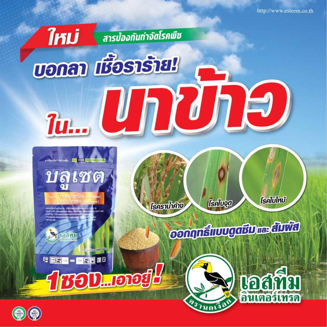 บอกลา เชื้อราในนาข้าวใช้ บลูเซต