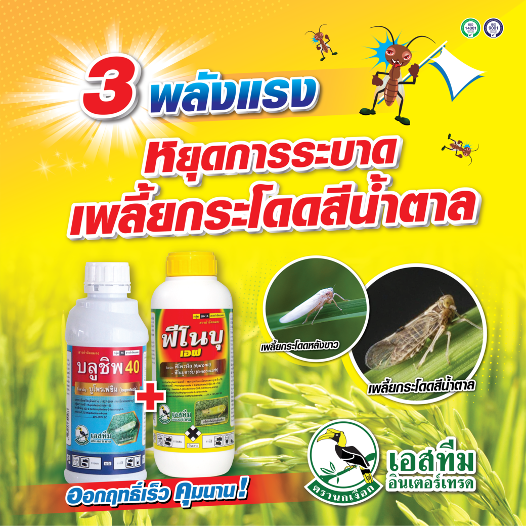 บลูชิพ 40 + ฟีโนบุ เอฟ หยุดการระบาดของเพลี้ยกระโดดสีน้ำตาล