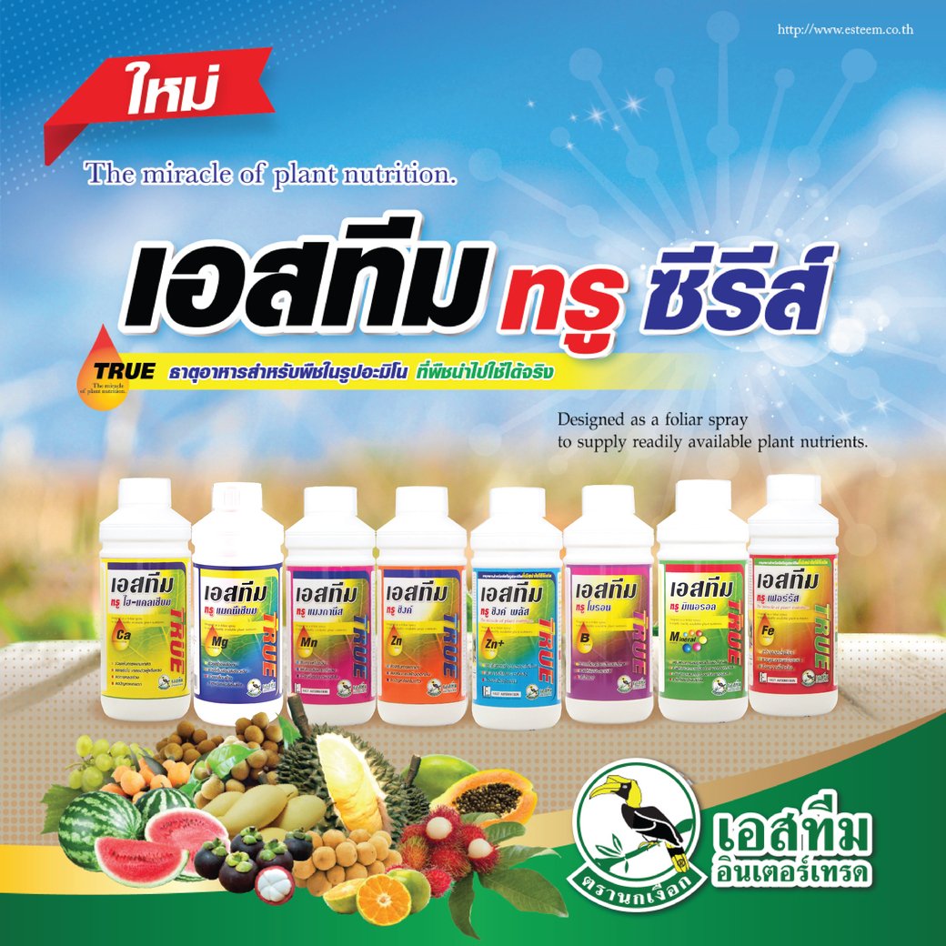 เอสทีม ทรู ซีรีส์