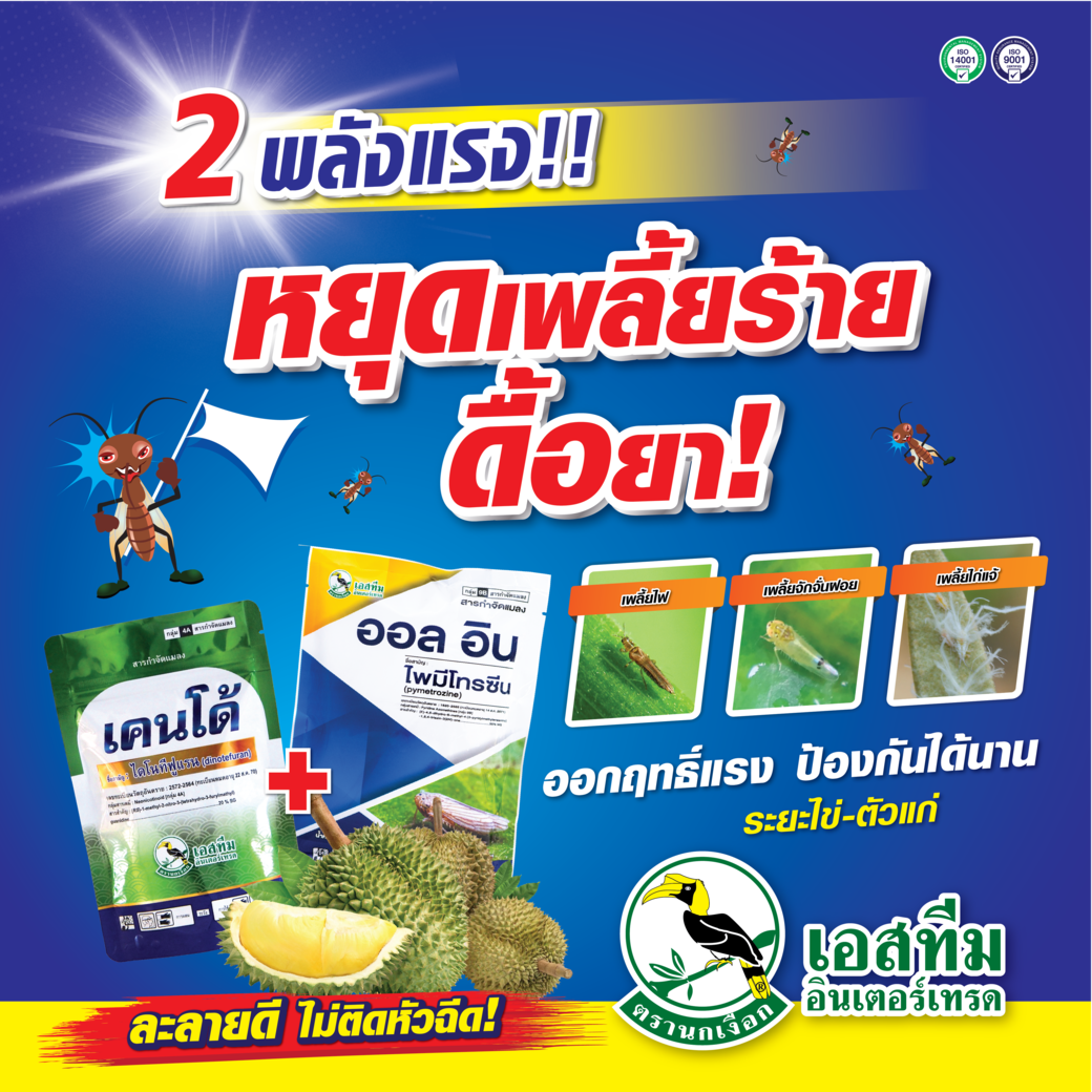 2 พลังแรง หยุดเพลี้ยร้าย ดื้อยา (เคนโด้ + ออลอิน)