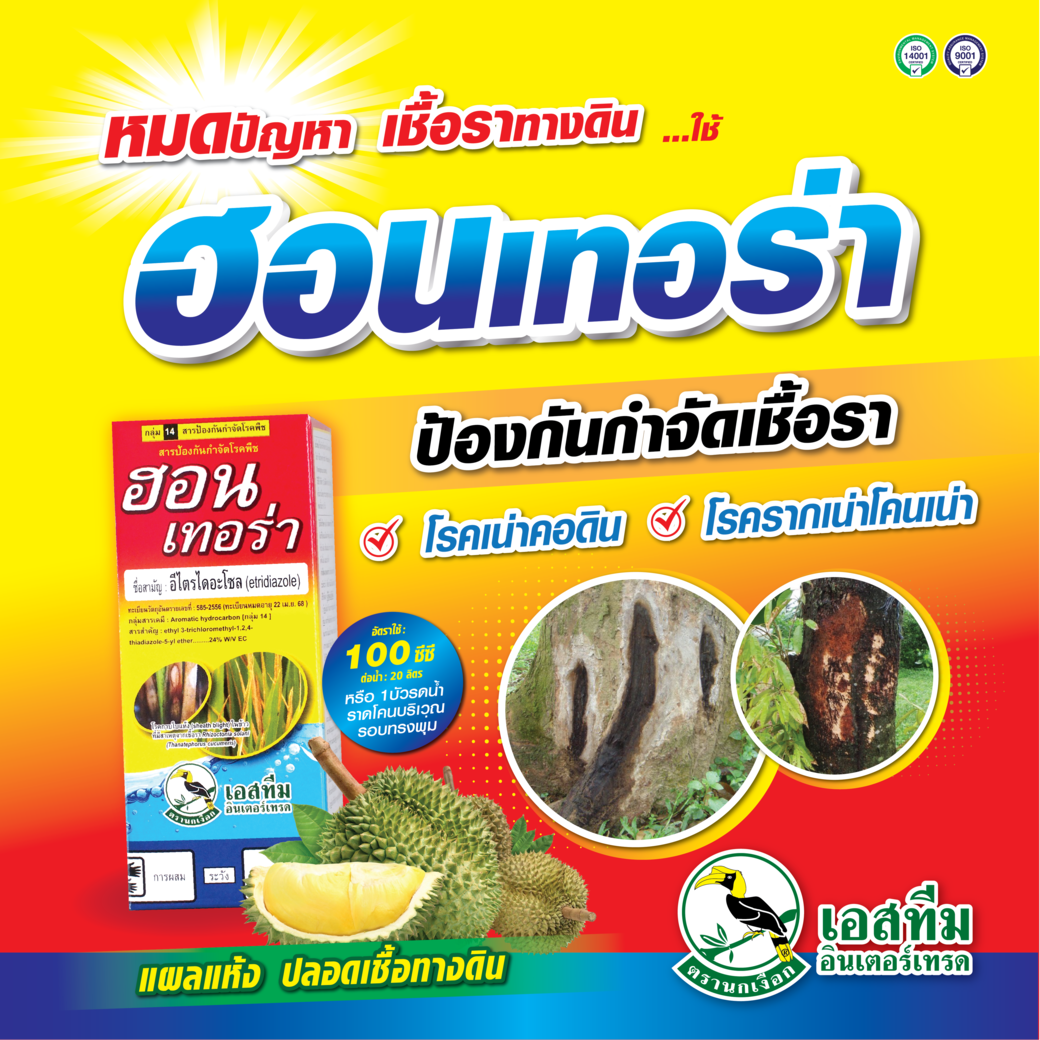 หมดปัญหา เชื้อราทางดิน ใช้ ฮอนเทอร่า