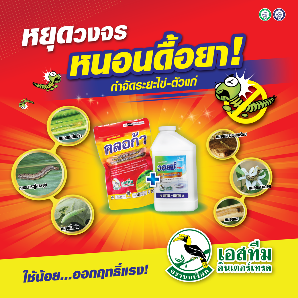 หยุดครบวงจร หนอนดื้อยา! ตั้งแต่ระยะไข่-ตัวเต็มวัย คลอก้า + วอยซ์