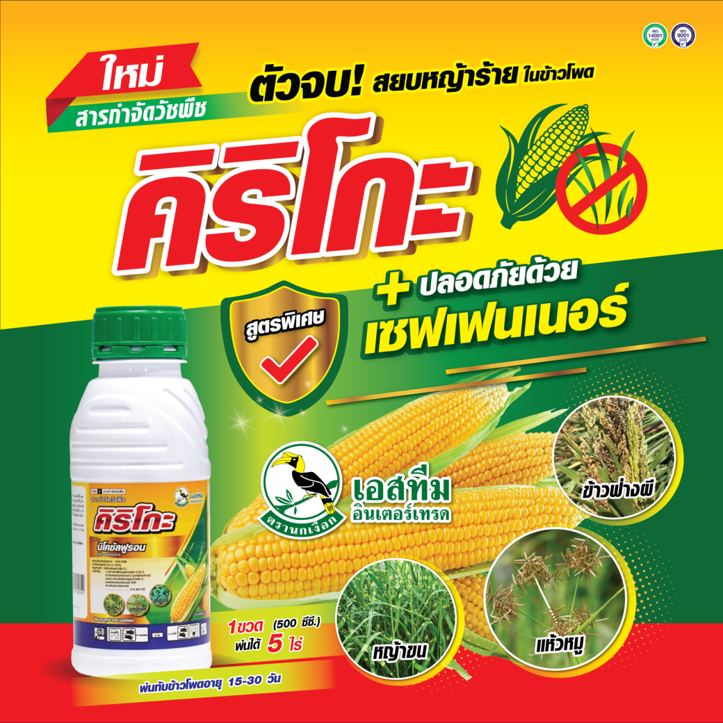 ตัวจบ สยบหญ้าในข้าวโพด คิริโกะ