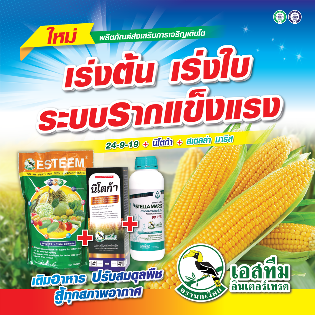 ชุดเร่งต้น เร่งใบ เสริมระบบราก