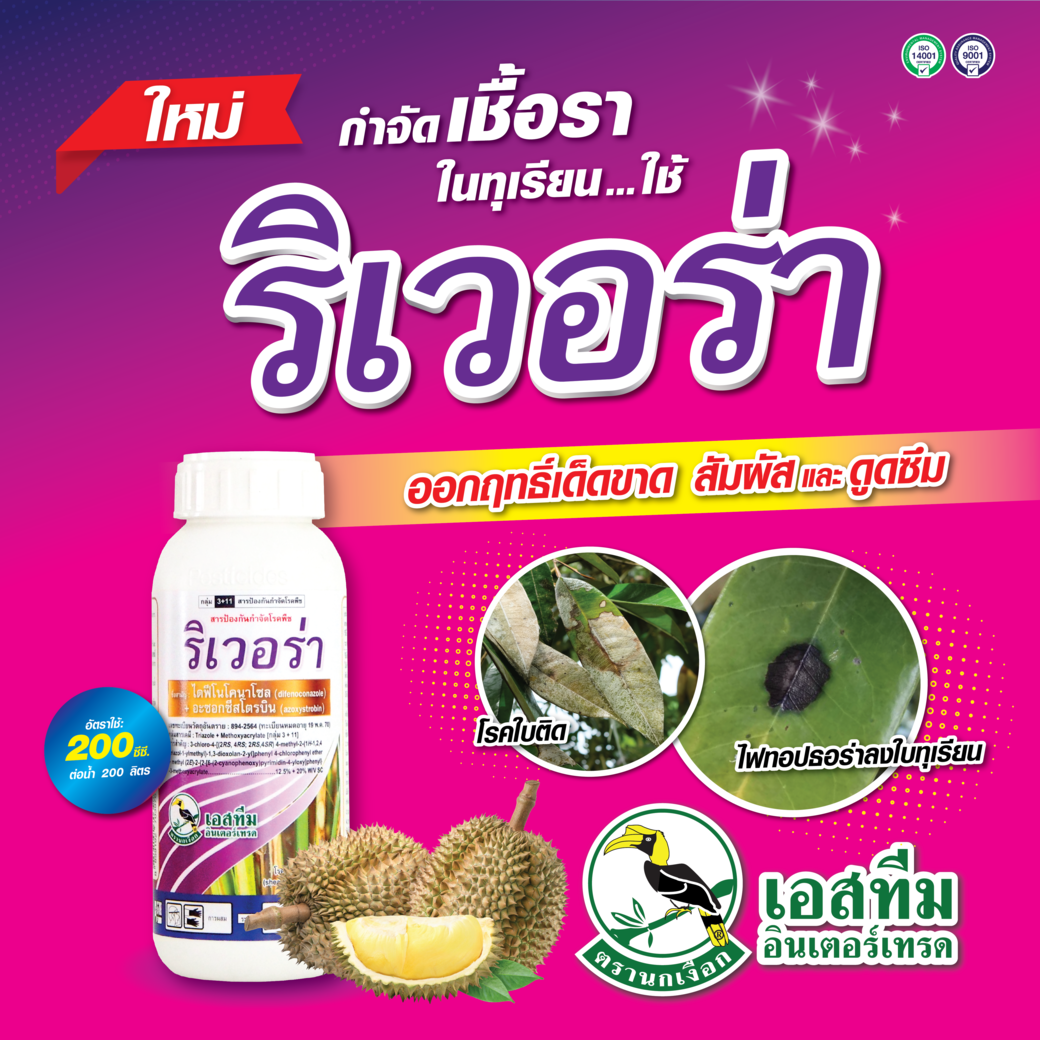 กำจัดเชื้อราในทุเรียน ใช้ริเวอร่า