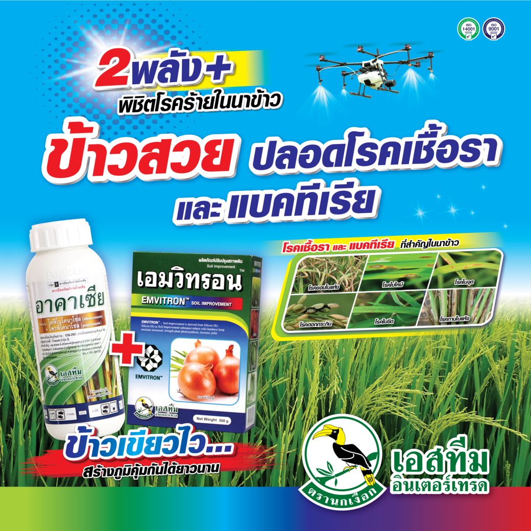 ข้าวสวย ปลอดโรค ด้วย อาคาเซีย+เอมวิทรอน