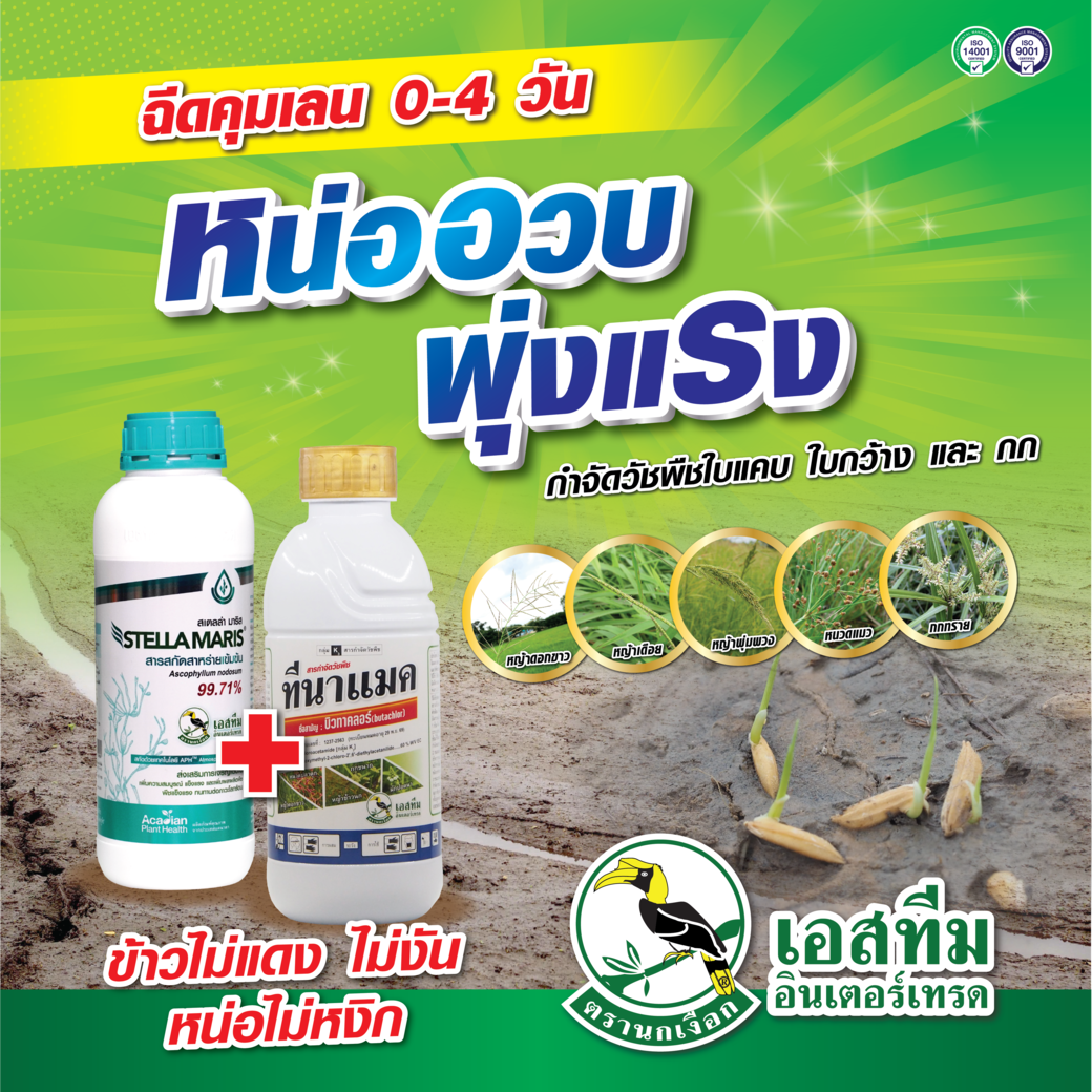 เสริมหน่อข้าวให้อวบ พุ่งแรง และกำจัดวัชพืชใบแคบ ใบกว้าง และกก