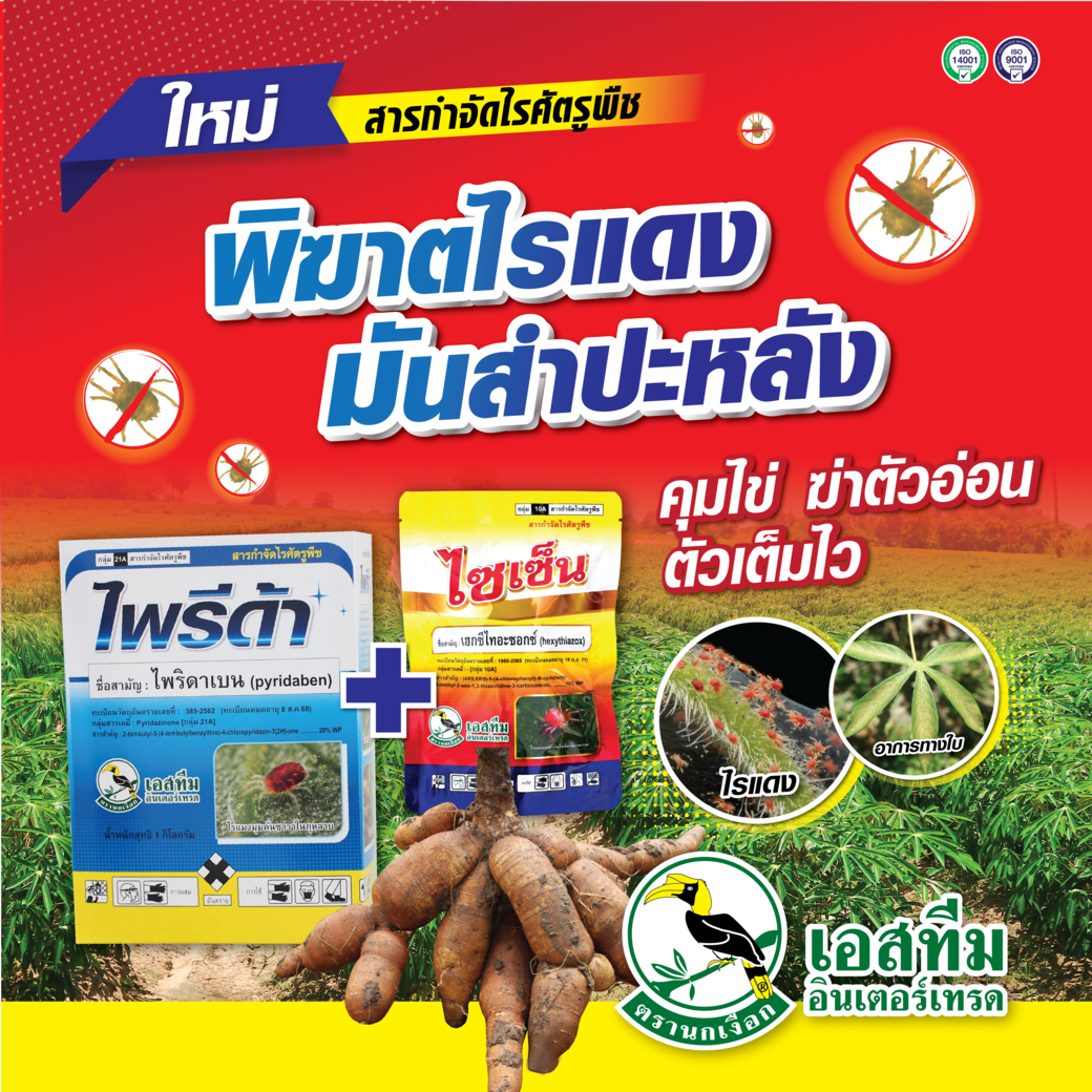 พิฆาตไรแดงในมันสำปะหลัง ไพรีด้า + ไซเซ็น