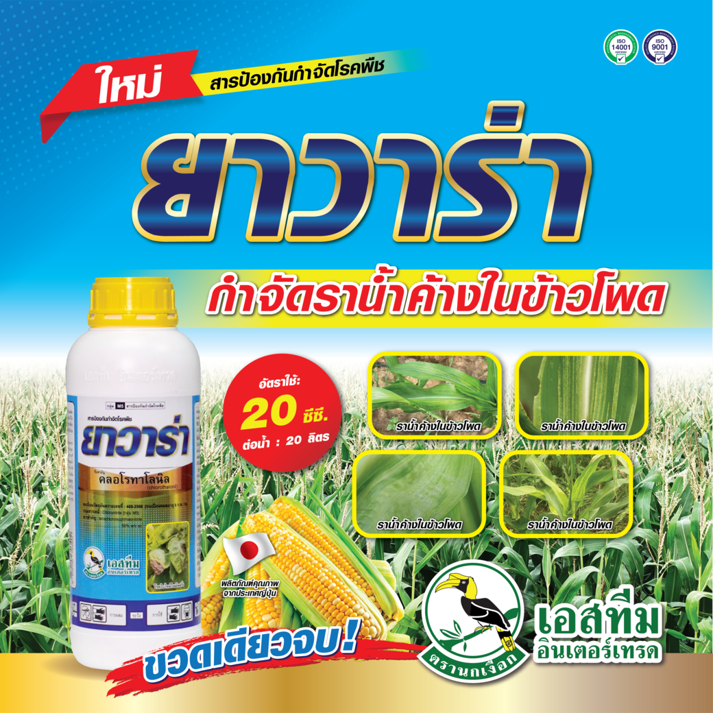 ยาวาร่า กำจัดราน้ำค้างในข้าวโพด