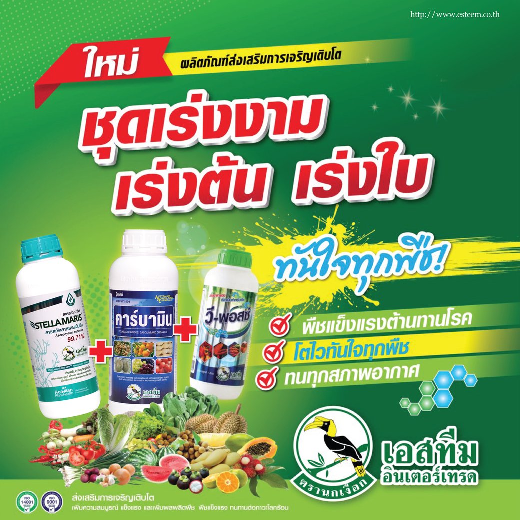 ชุดเร่งงาม เร่งต้น เร่งใบ ทันใจในทุกพืช