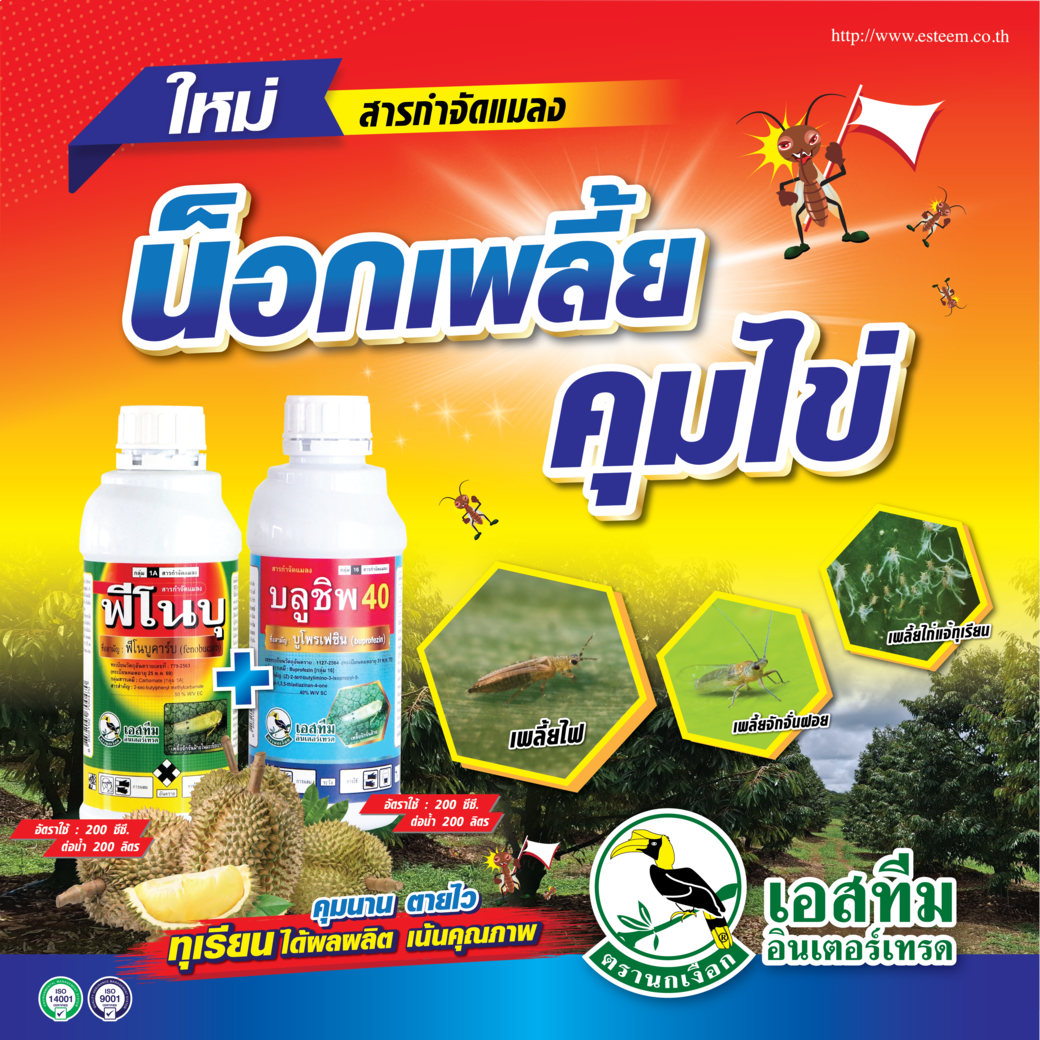 น็อกเพลี้ย คุมไข่ในทุเรียน ใช้ บลูชิพ 40 + ฟีโนบุ