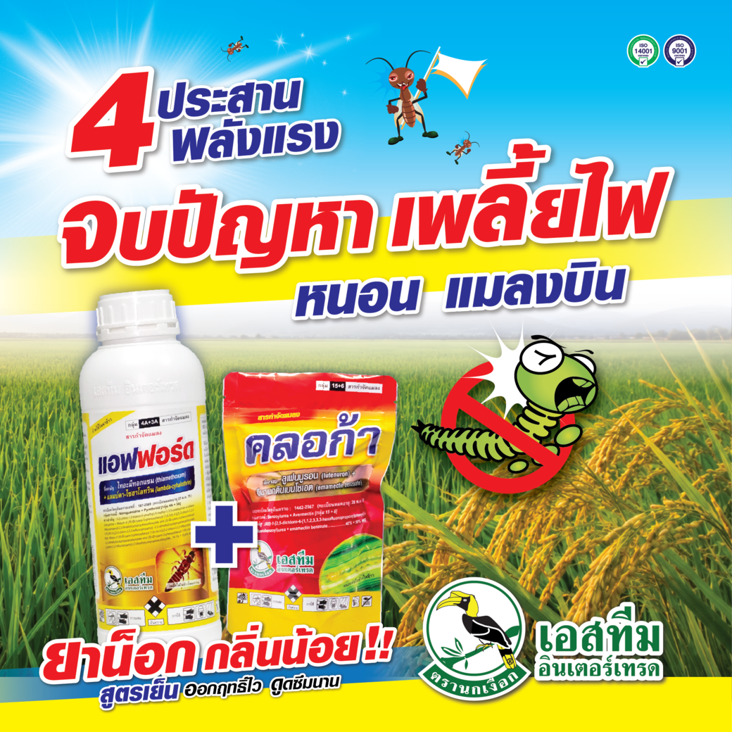 แอฟฟอร์ด + คลอก้า จบปัญหาเพลี้ยไฟ หนอน แมลงบิน ในนาข้าว