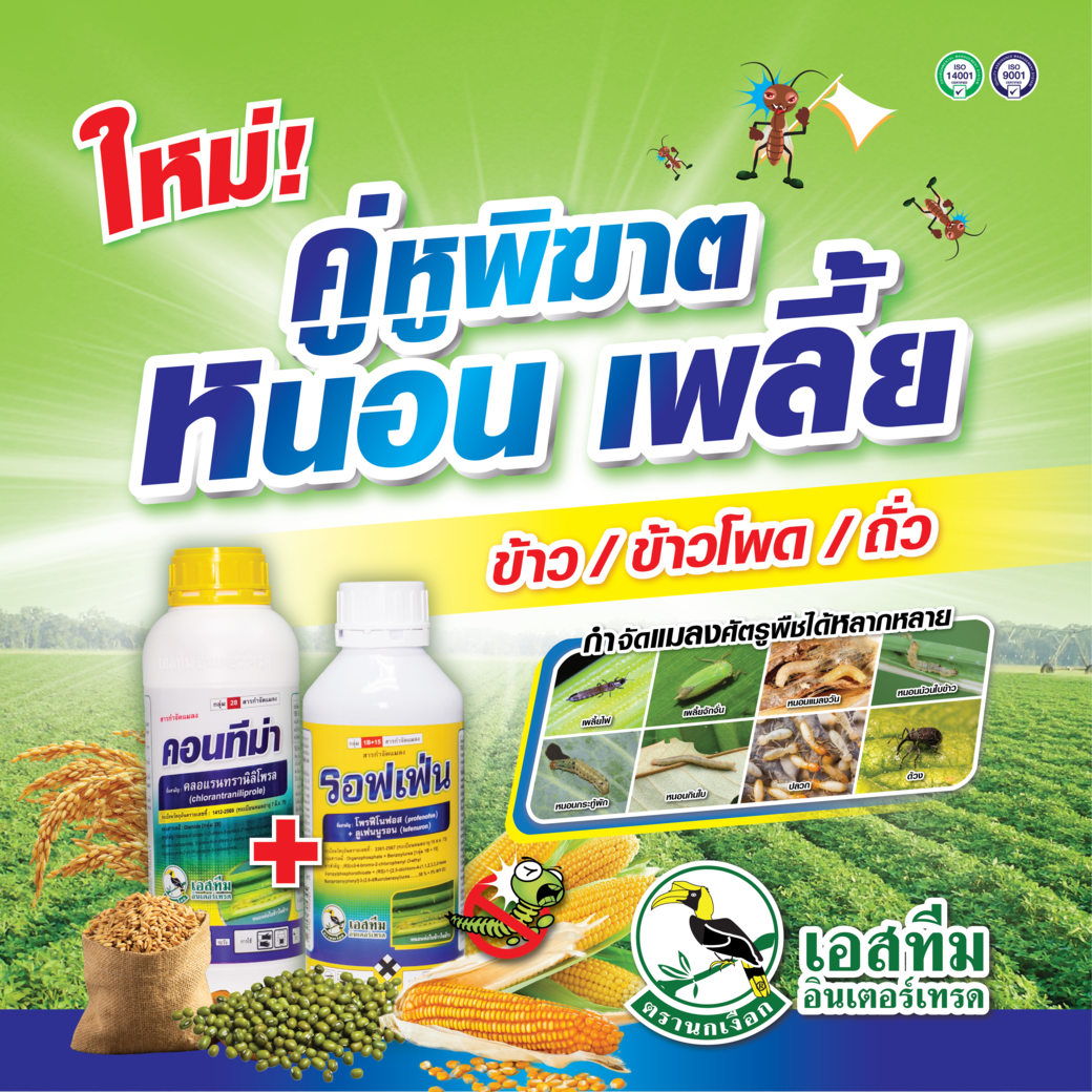 กำจัดหนอน เพลี้ย ในข้าว ข้าวโพด และถั่ว คอนทีม่า + รอฟเฟ่น