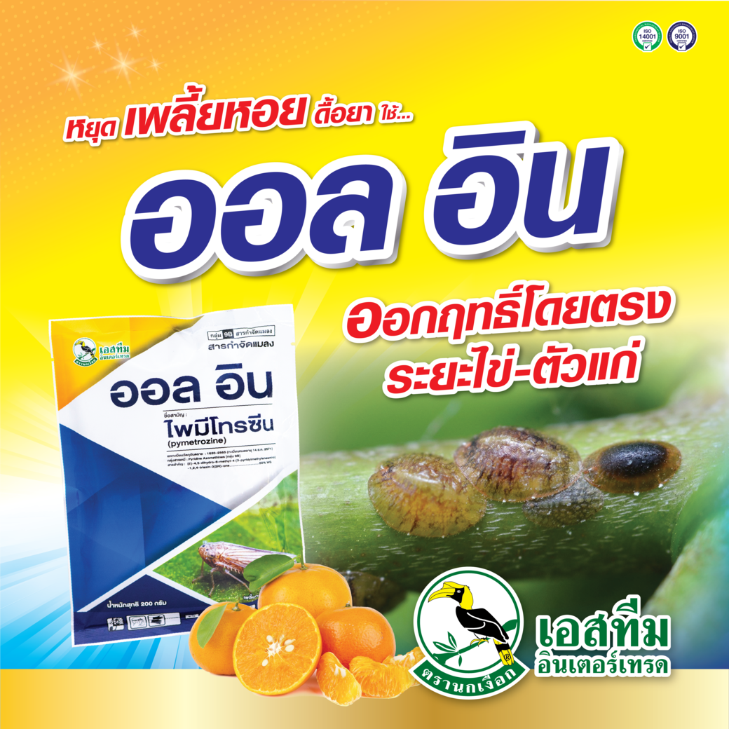 ออล อิน หยุด! เพลี้ยหอยดื้อยา