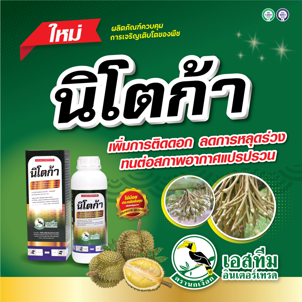 นิโตก้า สารเสริมกระตุ้นการสร้างเซลล์ เพิ่มผลผลิตในทุเรียน