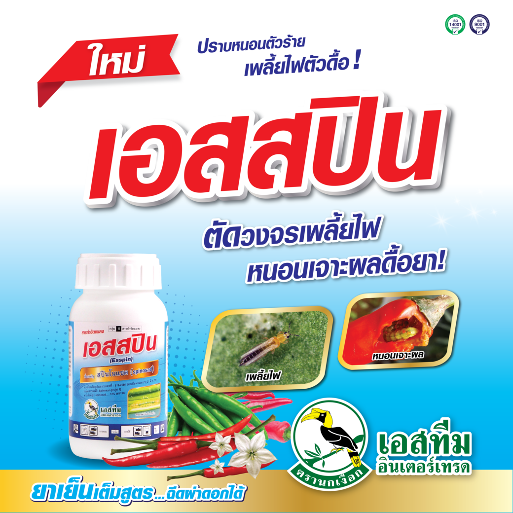 เอสสปิน ปราบหนอนตัวร้าย เพลี้ยไฟตัวดื้อในพริก