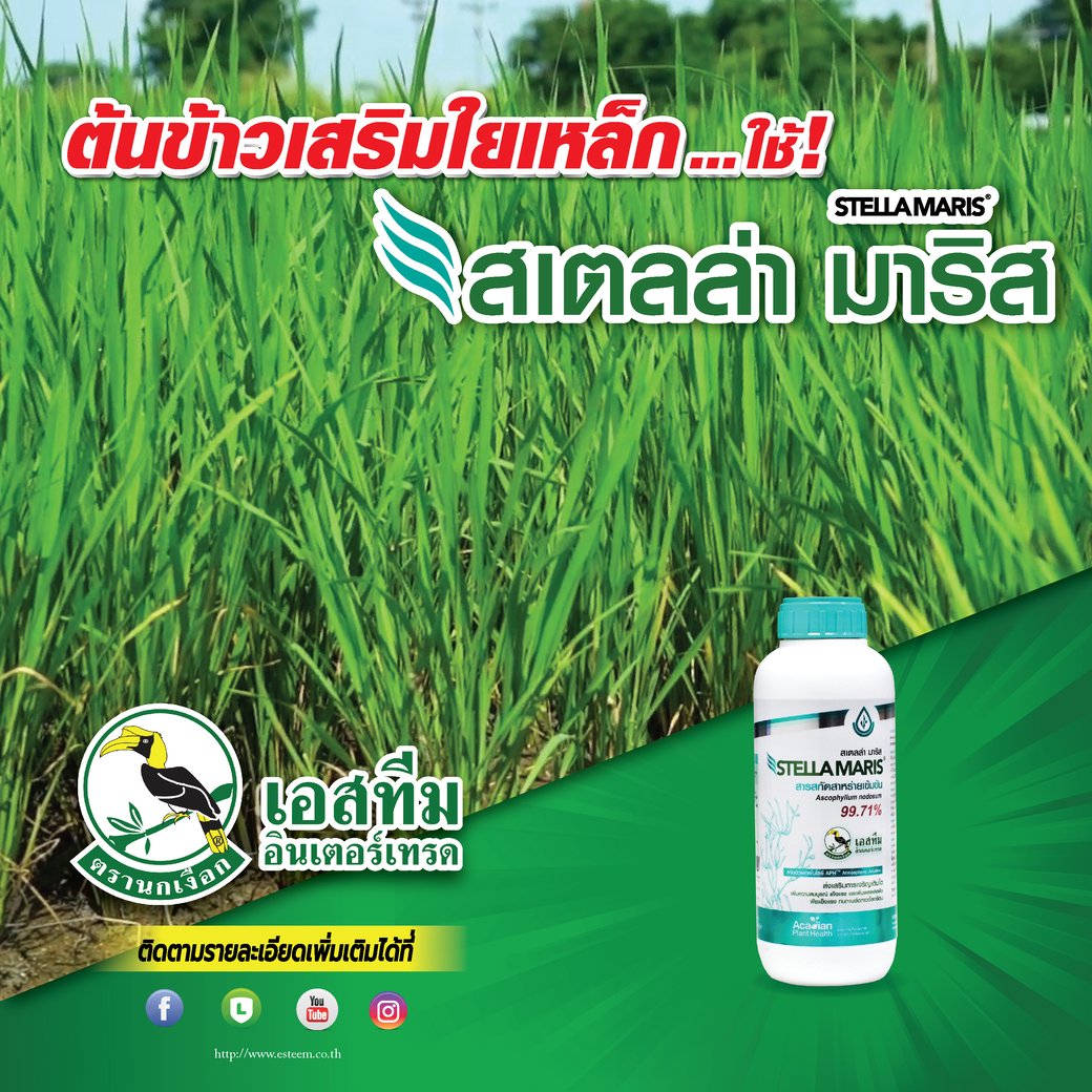 รอดทุกสภาพอากาศ! เทคนิคดูแลนาข้าวในยุคโลกร้อน รอดทุกสภาพอากาศ! เทคนิคดูแลนาข้าวในยุคโลกร้อน