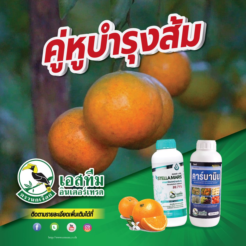 คู่หูบำรุงส้ม คู่หูบำรุงส้ม