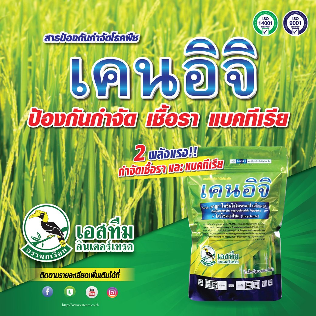 เคนอิจิ! 2 พลังแรง ป้องกันกำจัดเชื้อราและแบคทีเรียในนาข้าว เคนอิจิ! 2 พลังแรง ป้องกันกำจัดเชื้อราและแบคทีเรียในนาข้าว