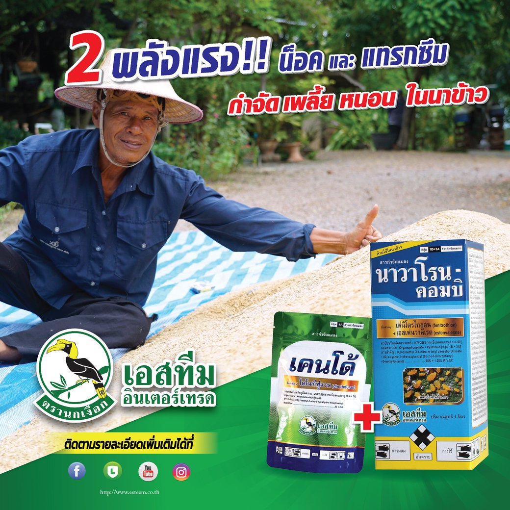 ชุดกำจัดเพลี้ย หนอน แมลงปากดูด ในนาข้าว ใช้ เคนโด้+นาวาโรน คอมบิ ชุดกำจัดเพลี้ย หนอน แมลงปากดูด ในนาข้าว ใช้ เคนโด้+นาวาโรน คอมบิ