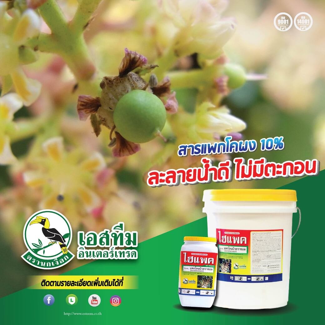ไฮแพค สารควบคุมการเจริญเติบโตของพืชช่วยกระตุ้นการออกดอกมะม่วง ไฮแพค สารควบคุมการเจริญเติบโตของพืชช่วยกระตุ้นการออกดอกมะม่วง
