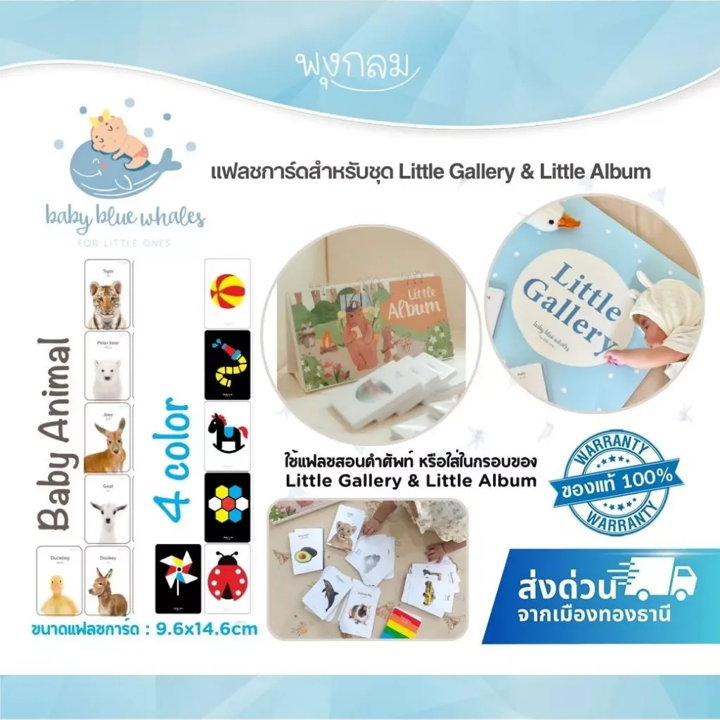 Baby Blue Whales แฟลชการ์ดเด็ก Little Gallery & Little Album เสริมพัฒนาการ (0M+)