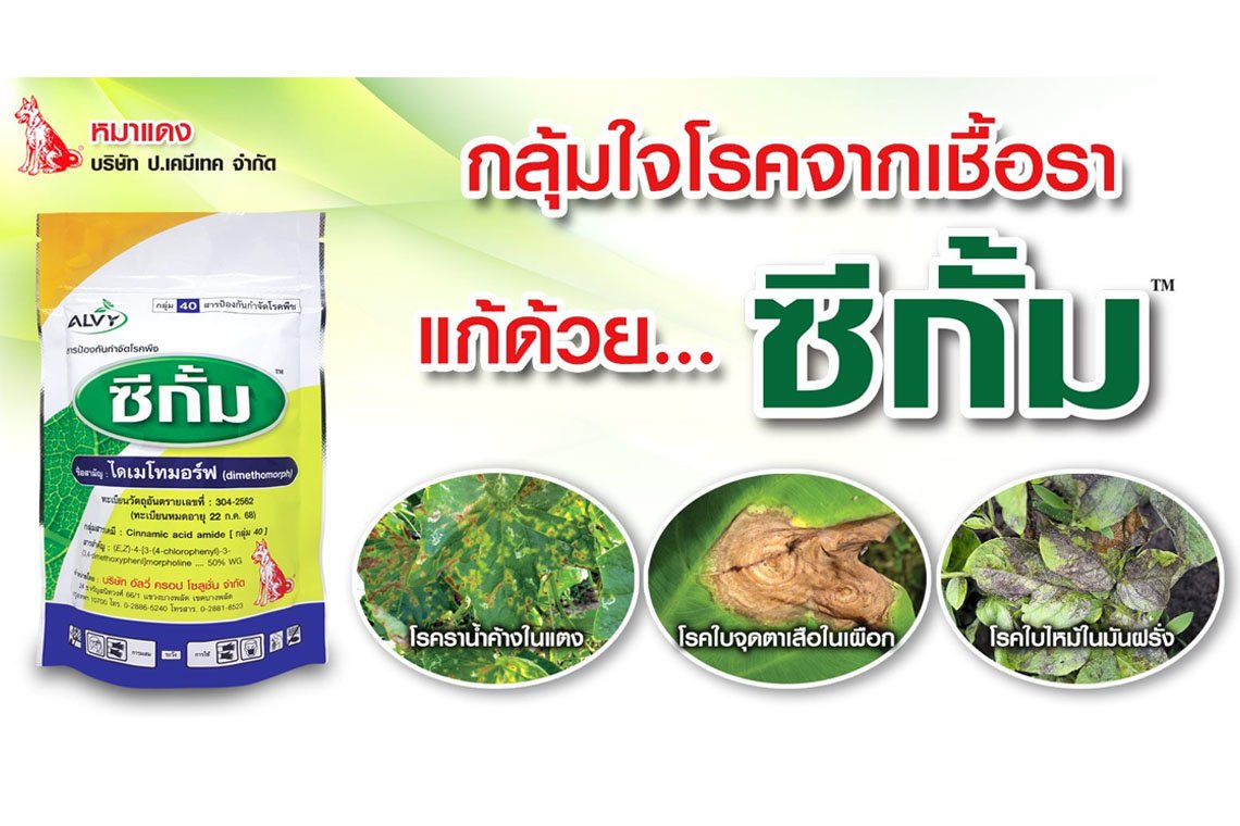 ซีกั้ม คือ สารไดเมโทมอร์ฟ ป้องกันกำจัดโรคพืช ช่วยยับยั้งการสร้างผนังของเชื้อรา ทำให้เชื้อราเติบโต ไม่ได้ และตายในที่สุด ซีกั้ม คือ สารไดเมโทมอร์ฟ ป้องกันกำจัดโรคพืช ช่วยยับยั้งการสร้างผนังของเชื้อรา ทำให้เชื้อราเติบโต ไม่ได้ และตายในที่สุด