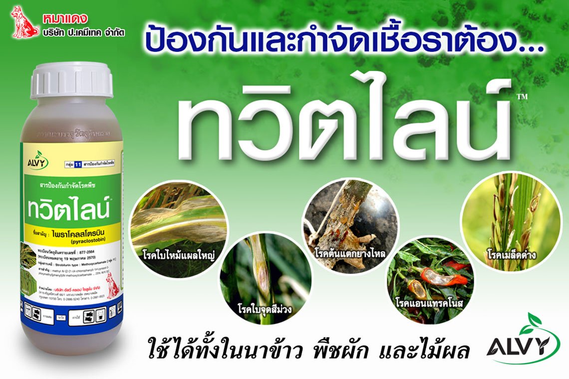 ทวิตไลน์ สารป้องกันกำจัดโรคพืชออกฤทธิ์เร็ว ป้องกันยาวนาน ทวิตไลน์ สารป้องกันกำจัดโรคพืชออกฤทธิ์เร็ว ป้องกันยาวนาน