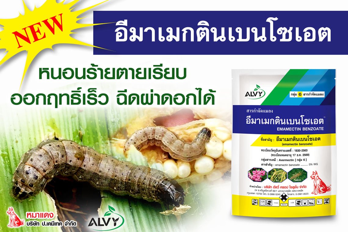 อีมาเมกตินเบนโซเอต กำจัดหนอนกระทู้ลายจุดข้าวโพดได้สิ้นซาก อีมาเมกตินเบนโซเอต กำจัดหนอนกระทู้ลายจุดข้าวโพดได้สิ้นซาก