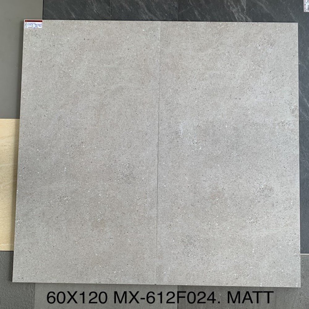 60X120 MX-JET612F024 (MATT)