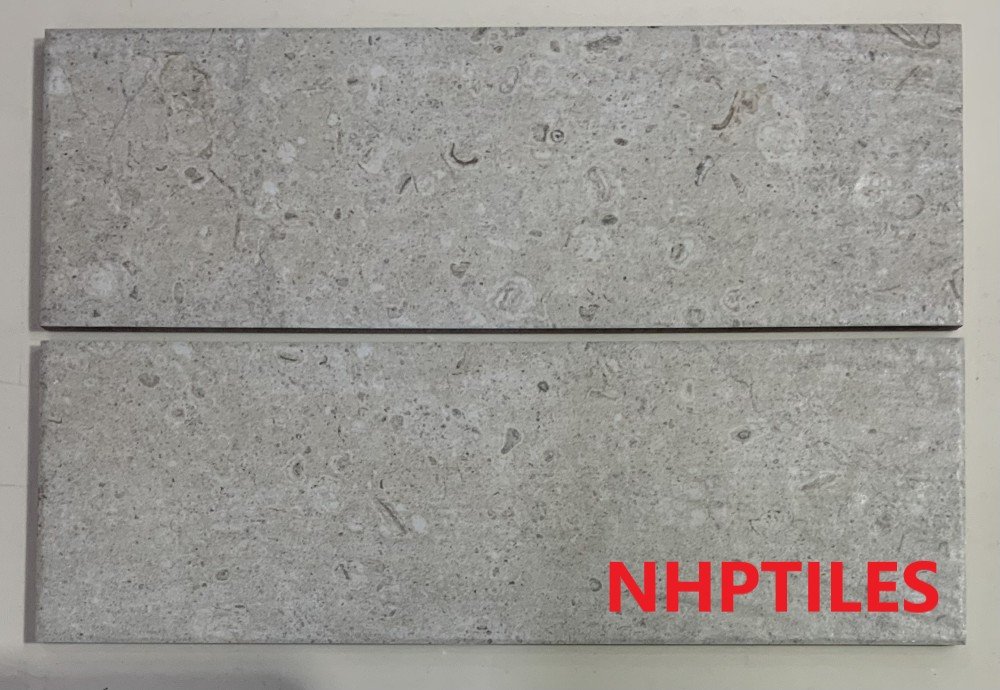 GP 10X30 FOSSILIZE IVORY R/T PM