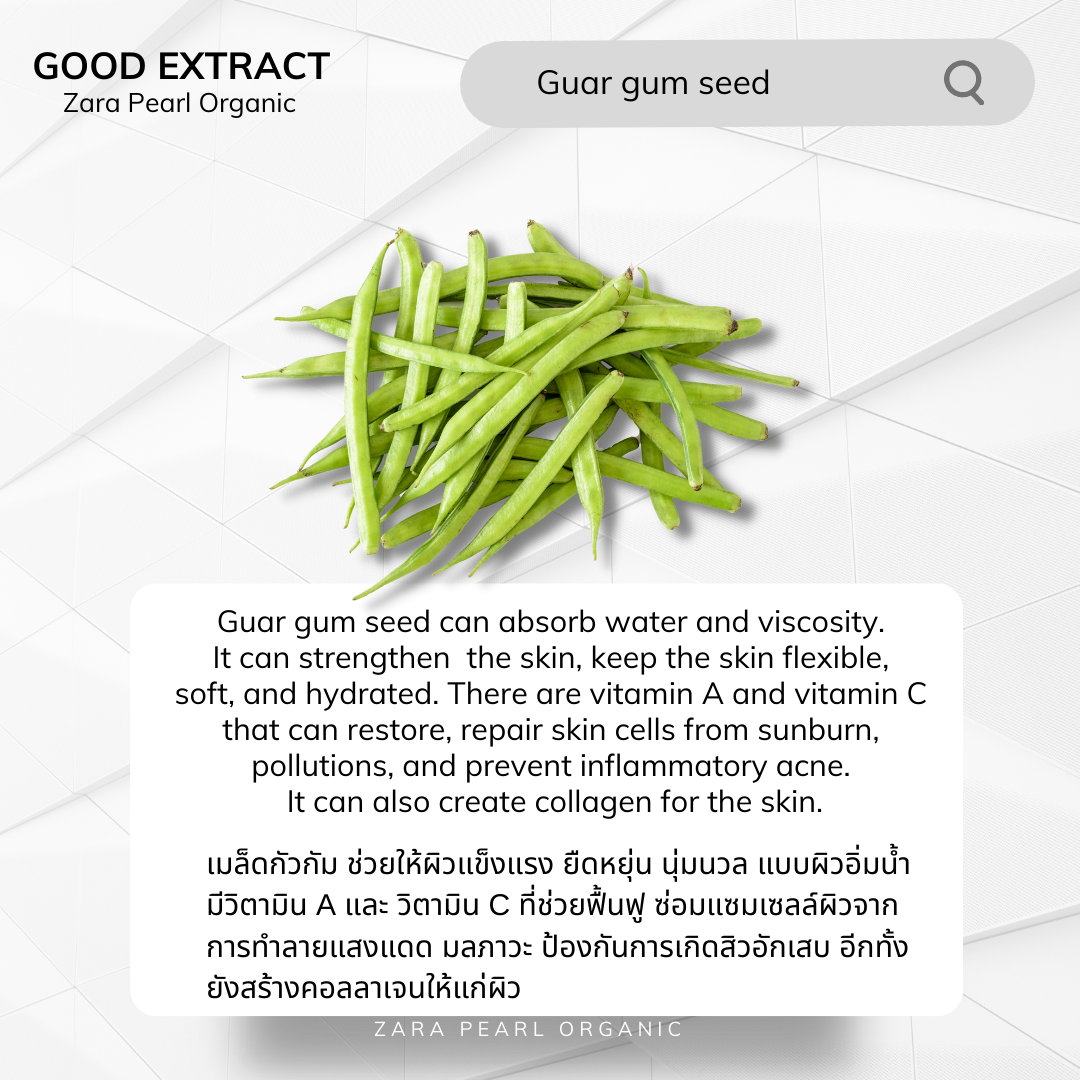 Guar gum seed Guar gum seed