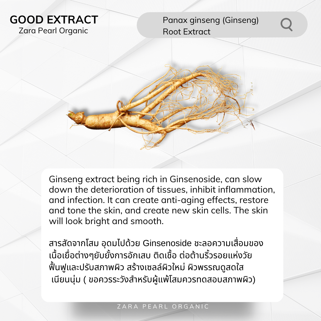 Panax ginseng (Ginseng)  Root Extract Panax ginseng (Ginseng)  Root Extract