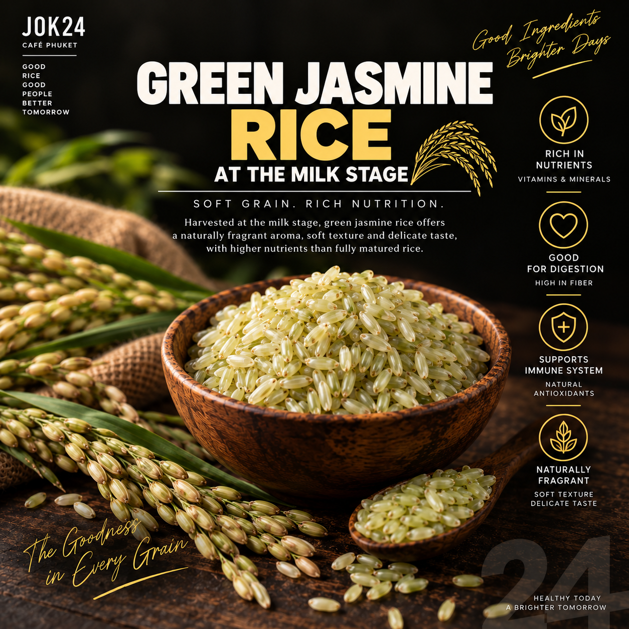 Jasmine Rice at the Milk Stage  Fresh from Thai Fields