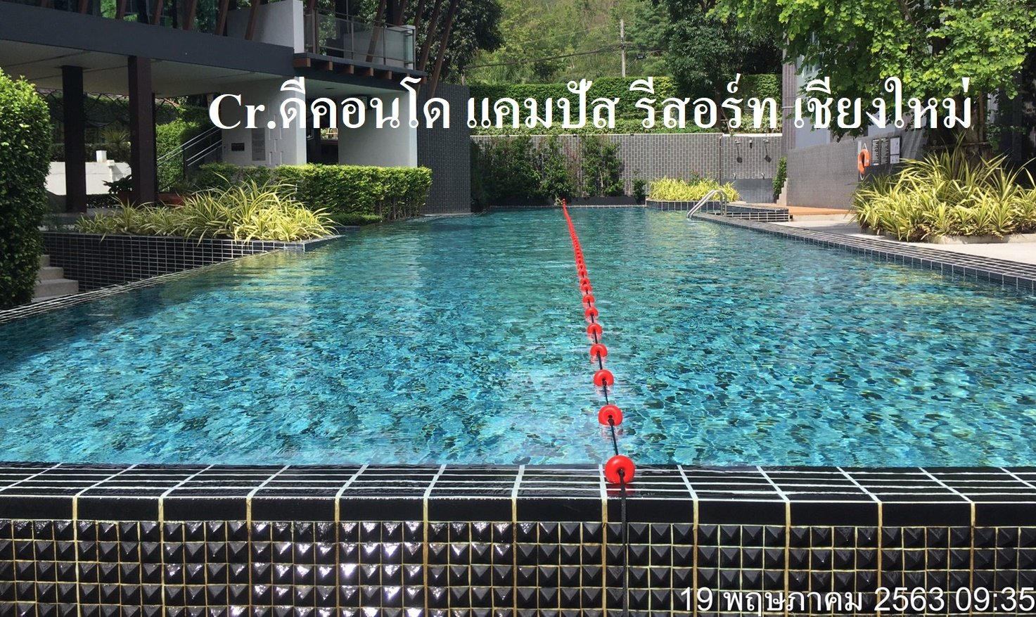 ทุ่น ลู่ สระว่ายน้ำ กั้น เขต แนว เลนน์ Covid-19 floating donut swimming