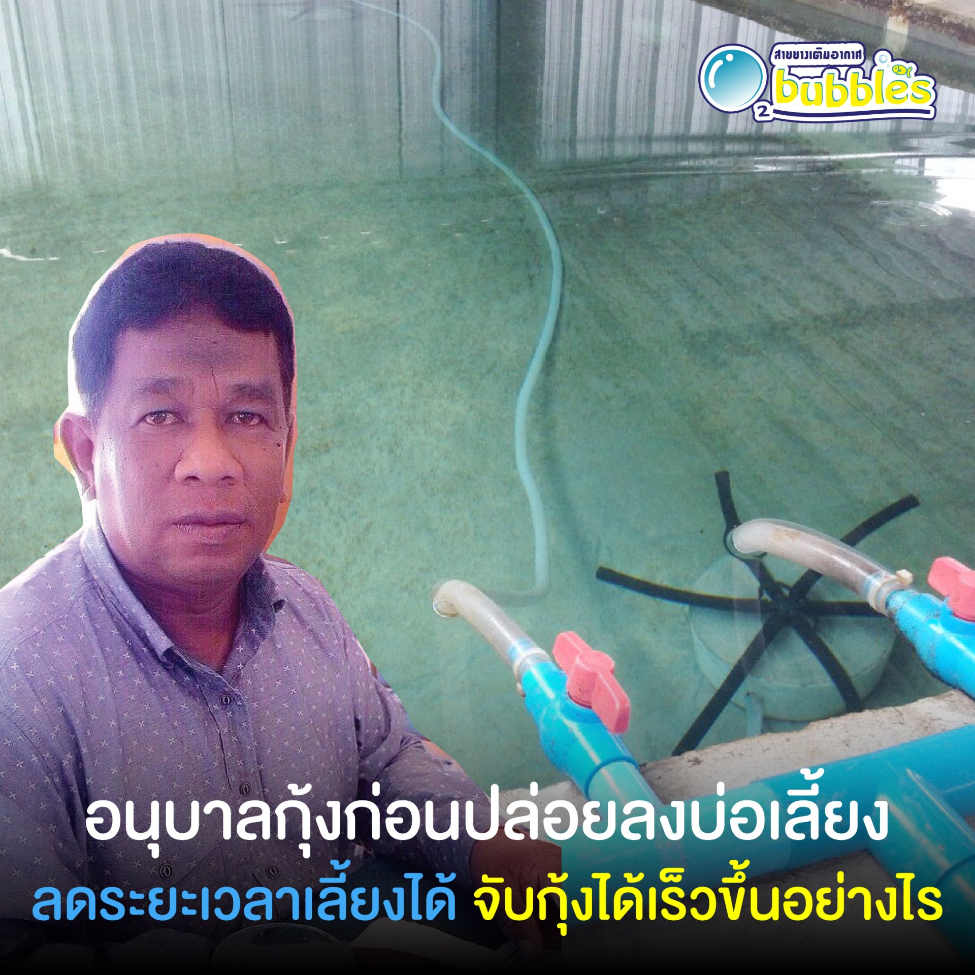 อนุบาลกุ้งก่อนปล่อยลงบ่อเลี้ยง อนุบาลกุ้งก่อนปล่อยลงบ่อเลี้ยง