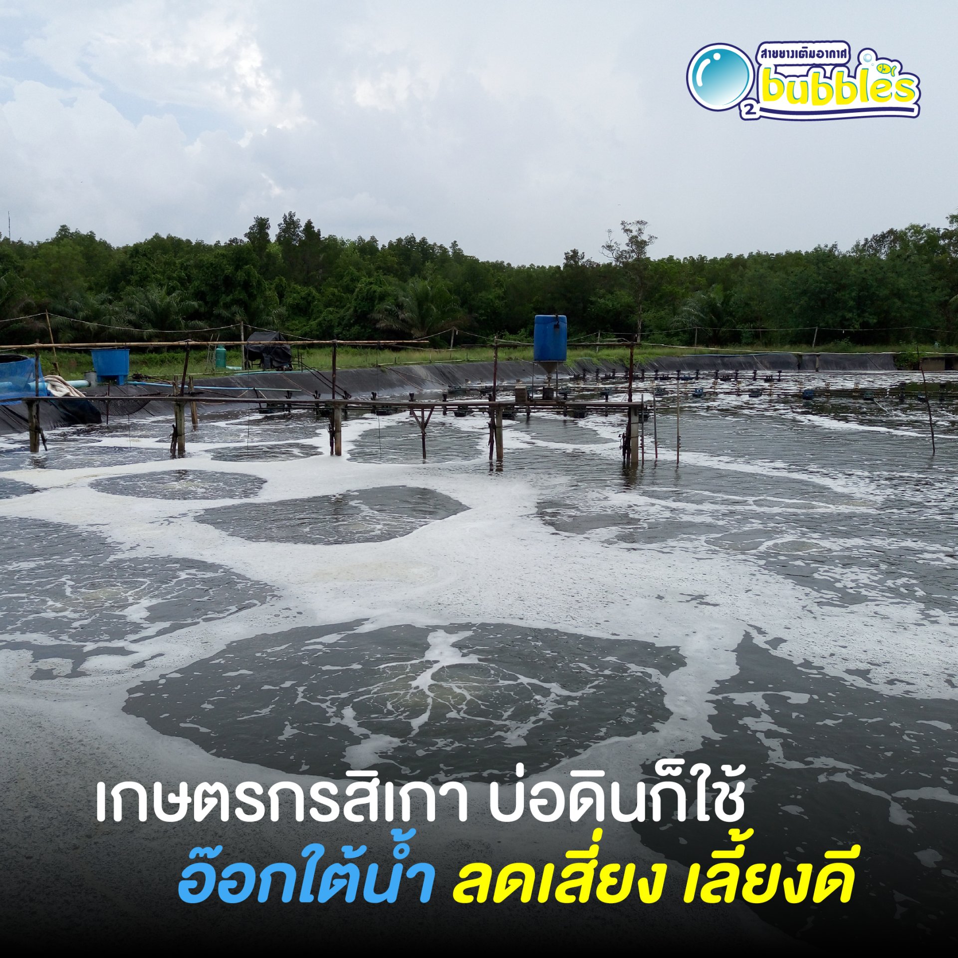 เกษตรกรสิเกา บ่อดิน ก็ใช้ อ๊อกใต้น้ำ ลดเสี่ยง เลี้ยงดี เกษตรกรสิเกา บ่อดิน ก็ใช้ อ๊อกใต้น้ำ ลดเสี่ยง เลี้ยงดี