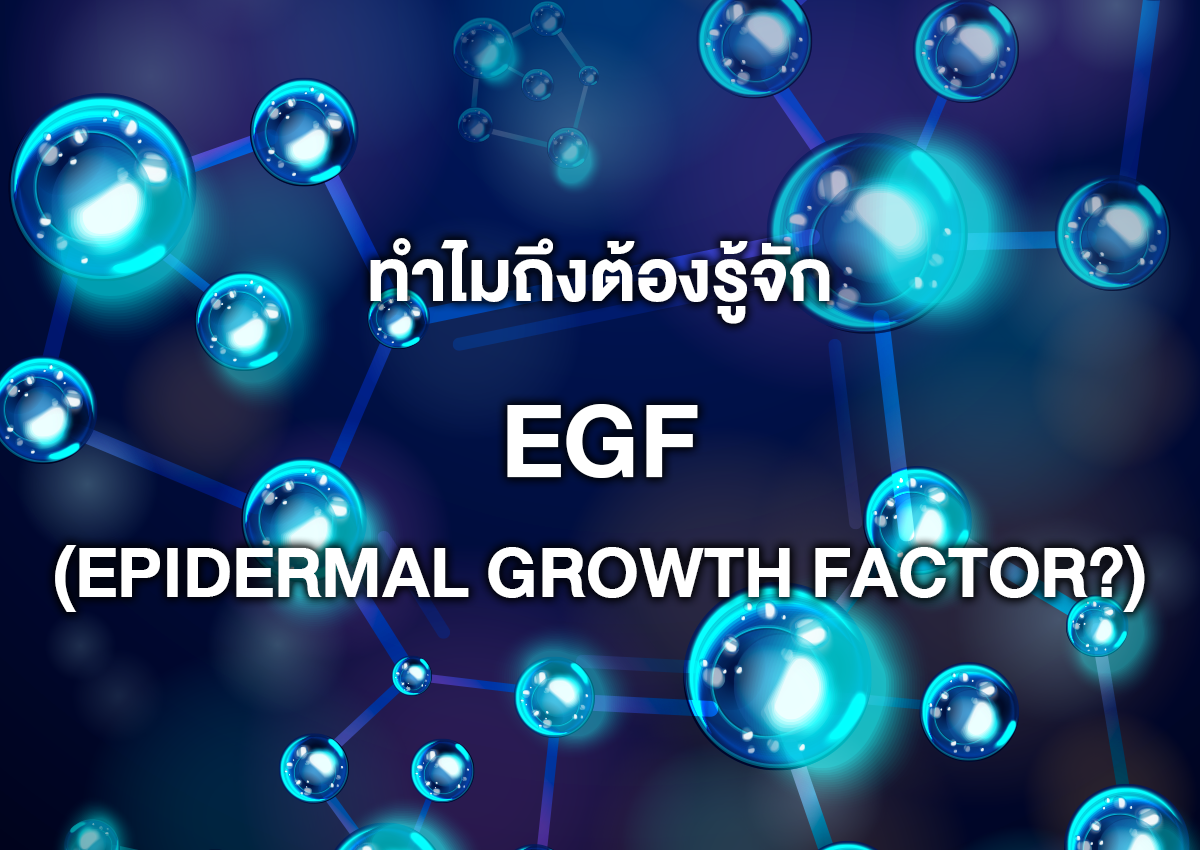 ทำไมถึงต้องรู้จัก EGF (Epidermal Growth Factor?)